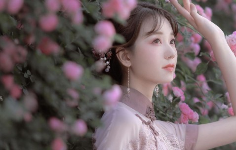 一个月内卵泡的发育与排卵，揭秘女性生殖周期的奥秘